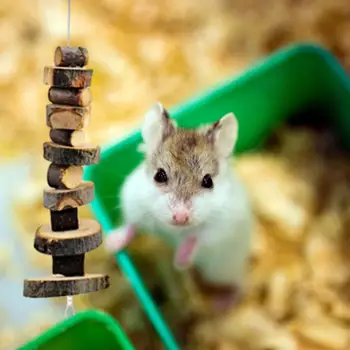 12pcs Hamster Brinquedo de Mastigar cobaia Chinchila Brinquedo de Mastigar Acessórios, Natural do Rolo de Madeira Cuidado Dental de Molares Brinquedos para animais de Estimação Den 2